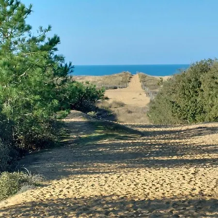 La Salicorne Feriehus *