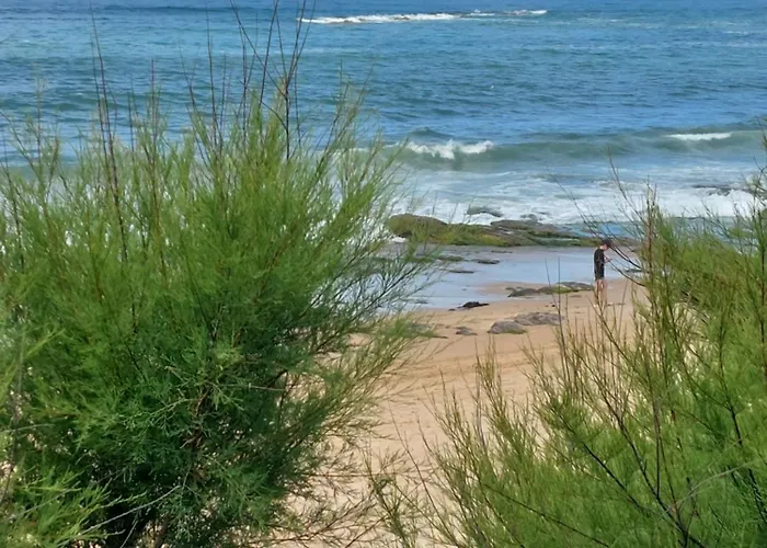 Maison De Vacances 4 Personnes 2 Chambres Aux Sables D'Olonne * Les Sables-dʼOlonne