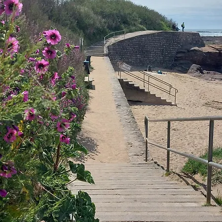 Ferienhaus La Salicorne Les Sables-dʼOlonne