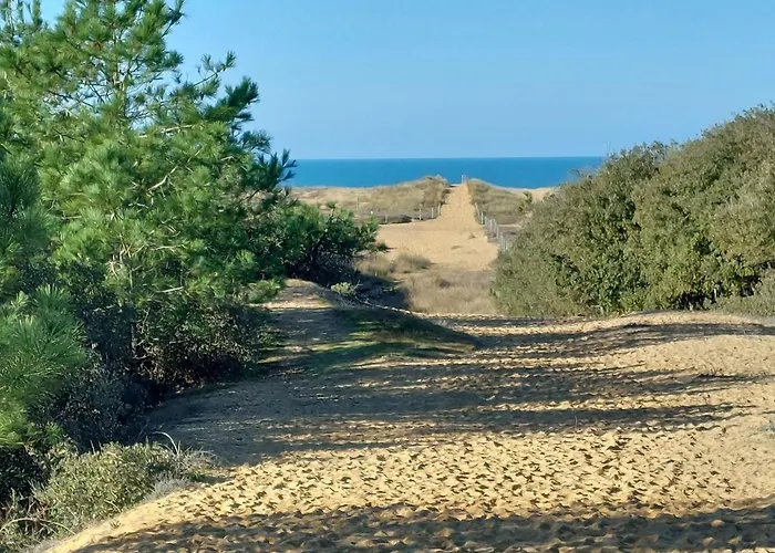 La Salicorne Hébergement de vacances *