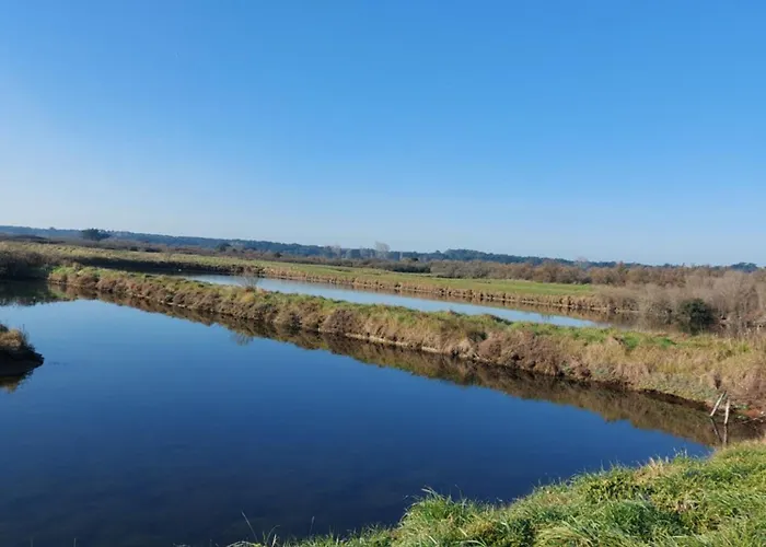 Hébergement de vacances La Salicorne Les Sables-dʼOlonne